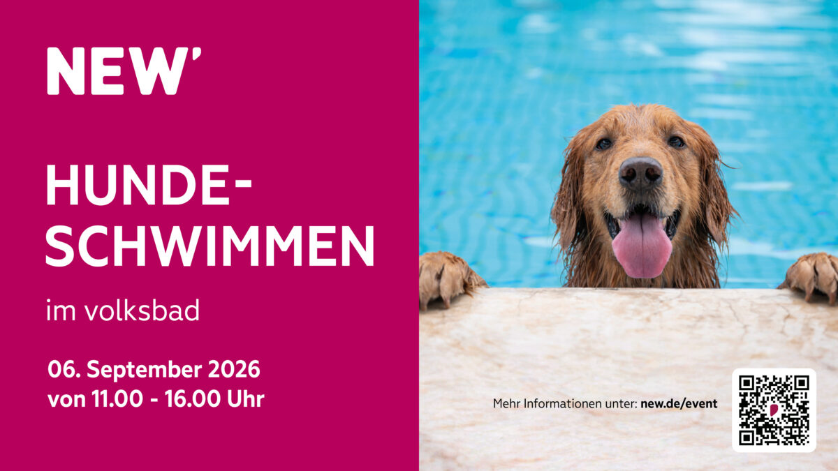 Hundeschwimmen im Volksbad